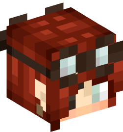 Minecraft head — People