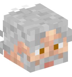 Minecraft head — People