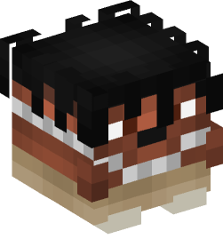 Minecraft head — Decor