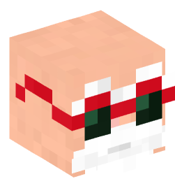 Minecraft head — People