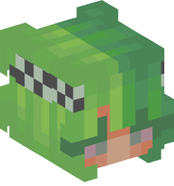 Minecraft head — People