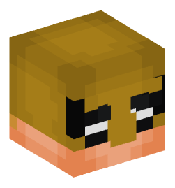 Minecraft head — People