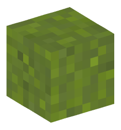 Minecraft head — Blocks