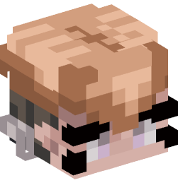 Minecraft head — People