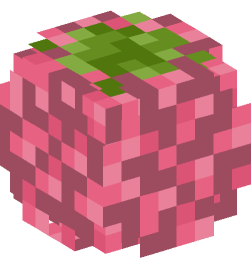 Minecraft head — Plants