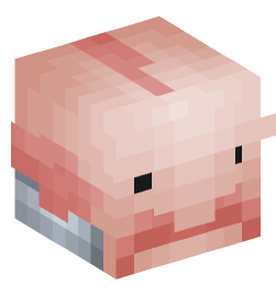 Minecraft head — Animals