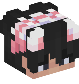 Minecraft head — People