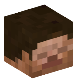 Minecraft head — People