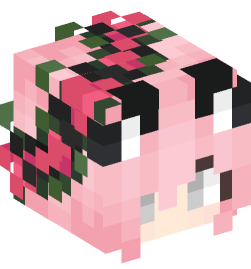 Minecraft head — People