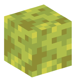 Minecraft head — Blocks