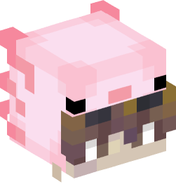 Minecraft head — People