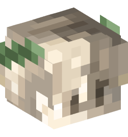 Minecraft head — Decor