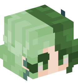 Minecraft head — People