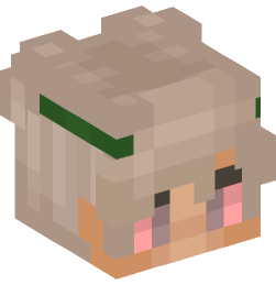 Minecraft head — People