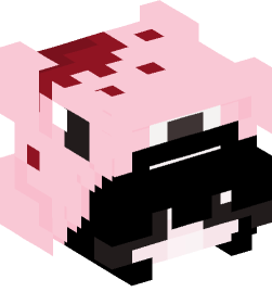 Minecraft head — People