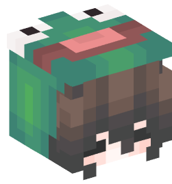 Minecraft head — People