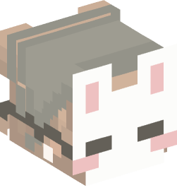 Minecraft head — People