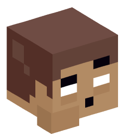 Minecraft head — Miscellaneous