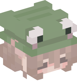 Minecraft head — People