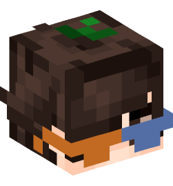 Minecraft head — People