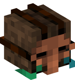 Minecraft head — People