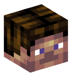 Minecraft head — People