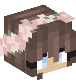 Minecraft head — People