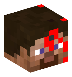 Minecraft head — People