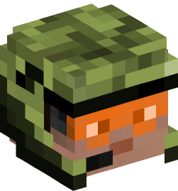 Minecraft head — People