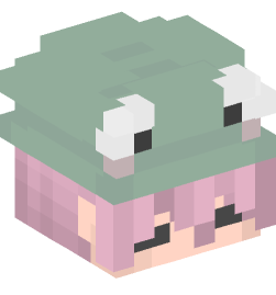 Minecraft head — People