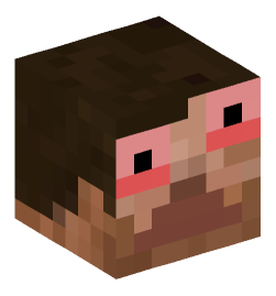 Minecraft head — People