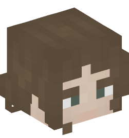 Minecraft head — People