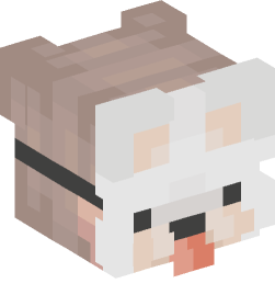 Minecraft head — People