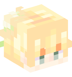 Minecraft head — People