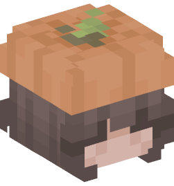 Minecraft head — People