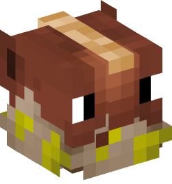 Minecraft head — Decor