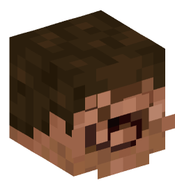 Minecraft head — Creatures