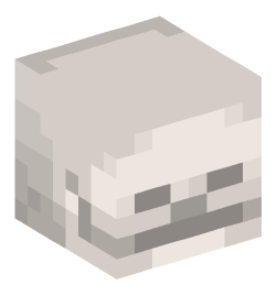 Minecraft head — Decor