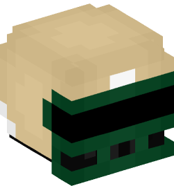 Minecraft head — People