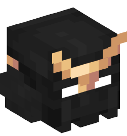 Minecraft head — People