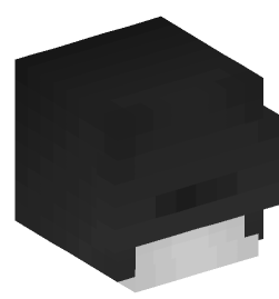 Minecraft head — Decor