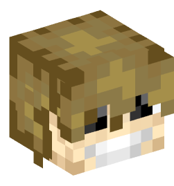 Minecraft head — People