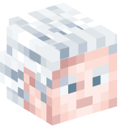 Minecraft head — People