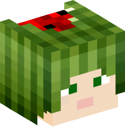 Minecraft head — People