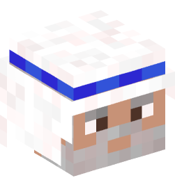 Minecraft head — People