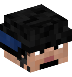 Minecraft head — People