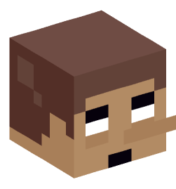 Minecraft head — Miscellaneous