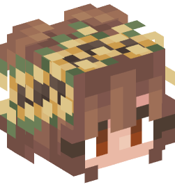 Minecraft head — People