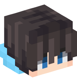 Minecraft head — People