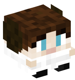 Minecraft head — Decor